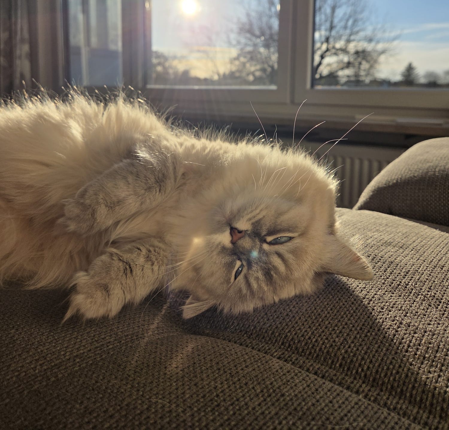 Alltag mit Kira & Kaya – Bild 3