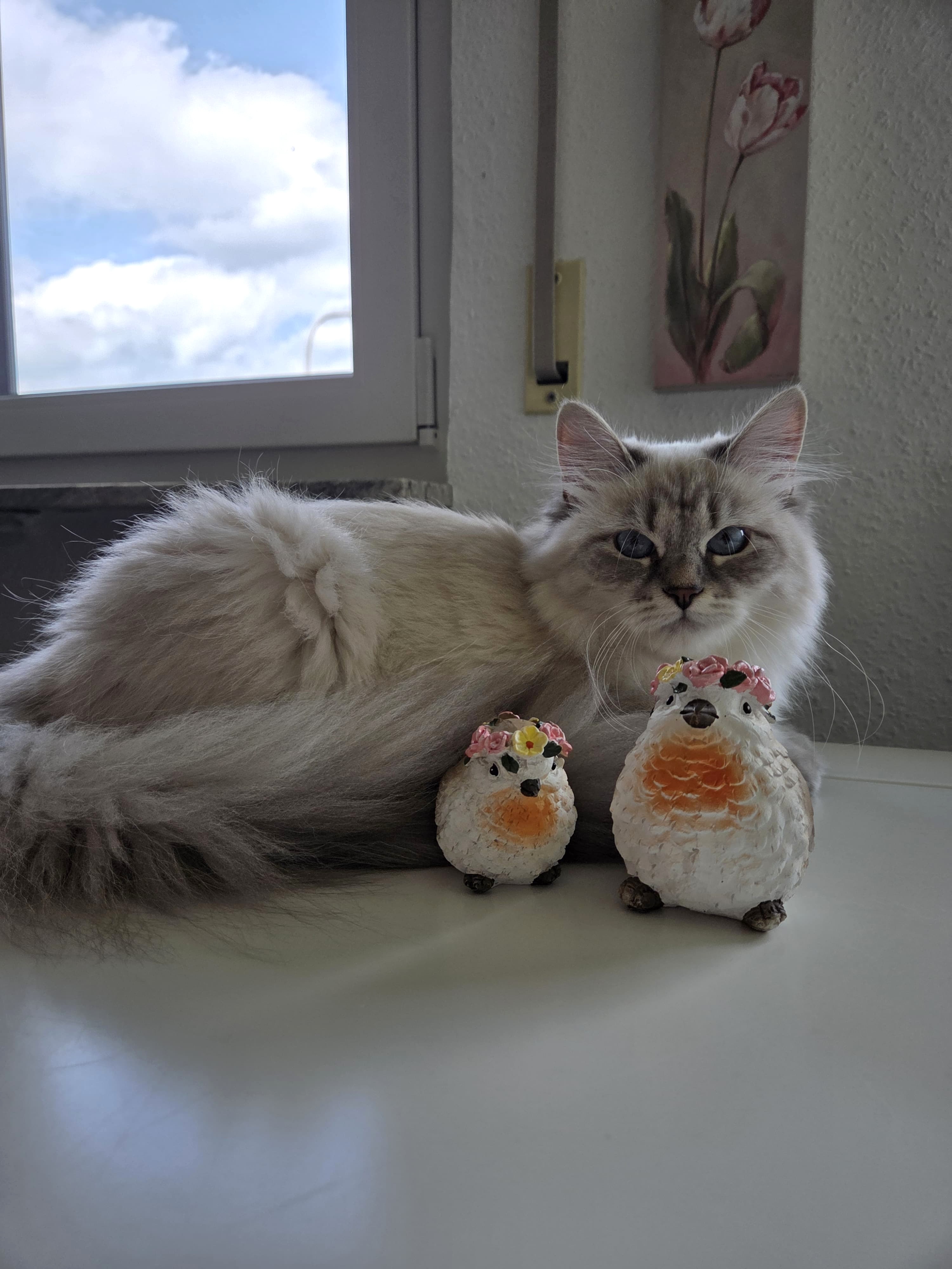 Neva Masquarade – Impression 4